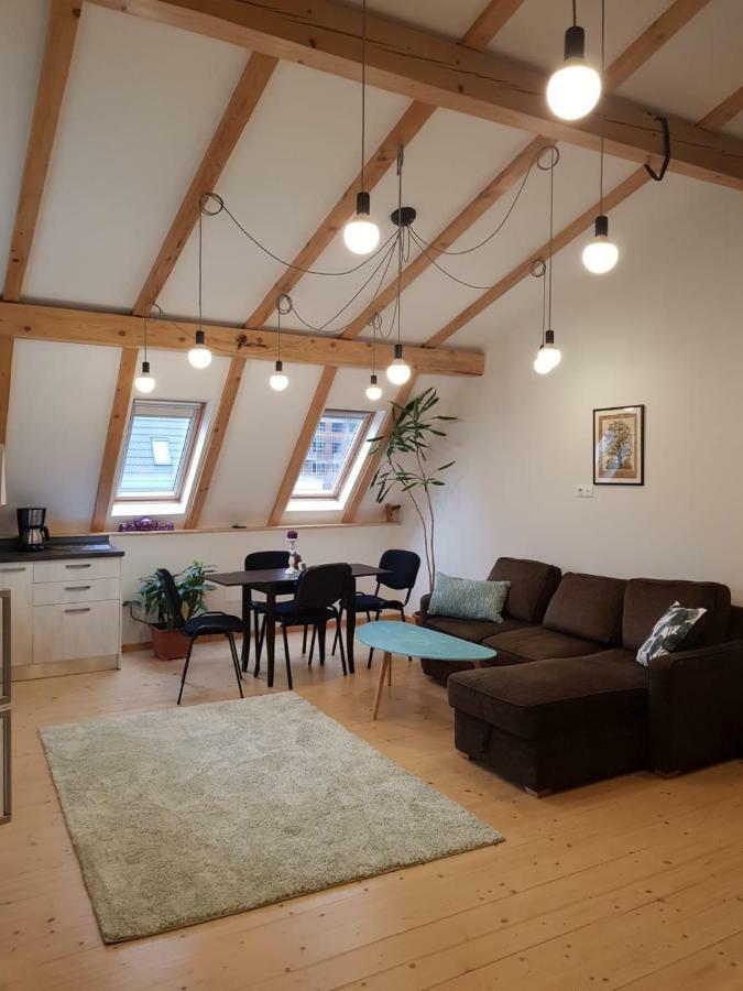 Апартаменты Leisure Apartmens Брашов Экстерьер фото